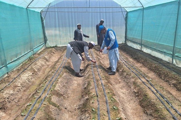 Greenhouse Installation